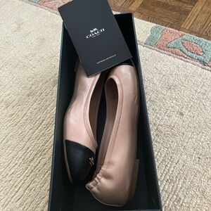 Selling my 1 pair of shoes never been use